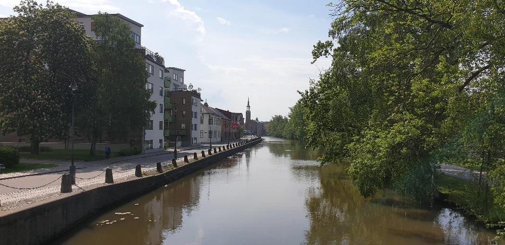 EGA Erik Giudice Architects Evenemangsområdet, Göteborg Volymstudie 2019-09-06 Parkmark och vegetation Burgårdsparken och parken kring Stora Katrinelunds landeri hyser en hel del äldre ädellövträd