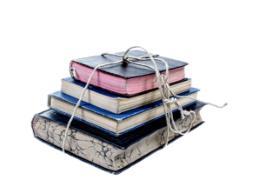 Skolan jobbar med ämnesövergripande arbete. Under september-oktober är Europa i fokus. Biblioteket sammanställer bokpaket som passar in i temat. I paketet ingår både fack- och skönlitteratur.