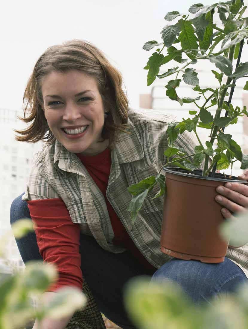 SEPTEMBER 2019 NYFIKEN PÅ BLOMSTERVÄGEN?