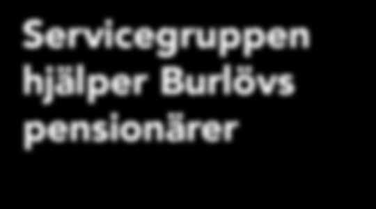 Äldreomsorgens servicegrupp erbjuder exempelvis: Fönsterputsning (pris beroende på bostadens storlek). Trädgårdsarbete (100 kronor per timme, max två timmar, ej häckklippning och snöskottning).