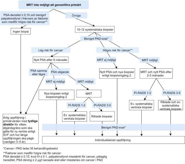 Figur 8. Diagnostik som inled med systematiska biopsier 8.6.