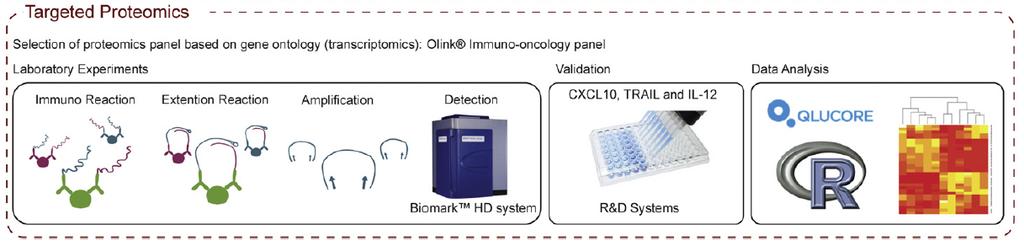 4.2.5 Targeted proteomics (Paper III) With the obtained data described in section 3.2.4, we performed protein analysis (targeted proteomics) using the proximity extension assay (PEA) (Olink