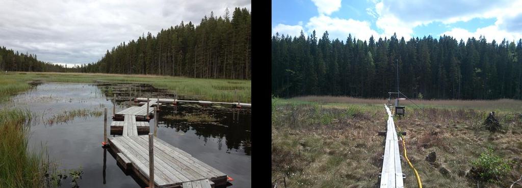 Figure 3. The picture of Lake Följesjön in Skogaryd area. A view of board-walks at open water zone (left) at more densely vegetated zone (right).
