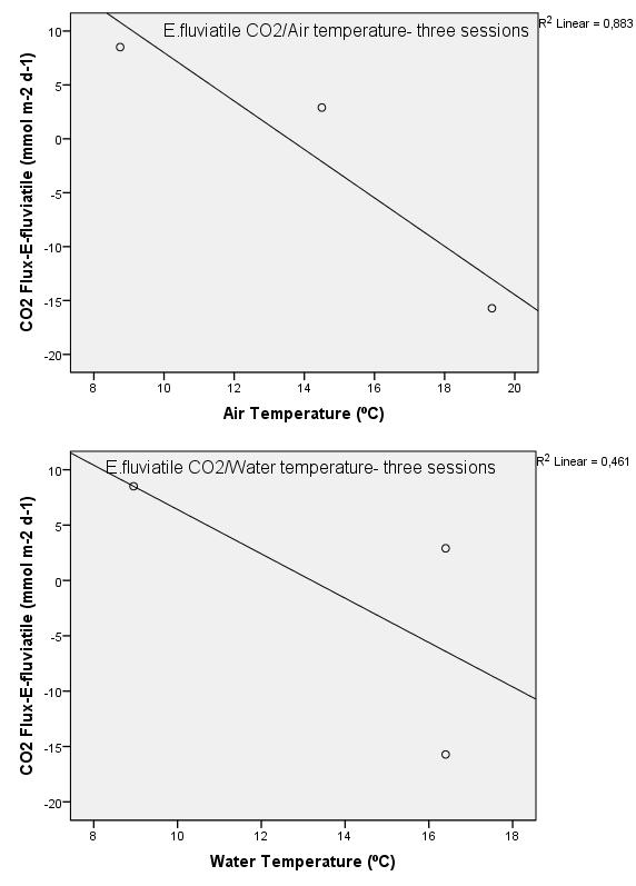 Figure 19. Linear relationship between net CO 2 exchange of E.