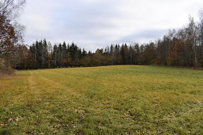 Berörda delar är del av avdelning 13 samt avdelning 15, 19 och 22. I avdelning 20 finns två registrerade fornlämningsplatser (slaggvarpar). (Källa Skogsstyrelsen och Riksantikvarieämbetet).