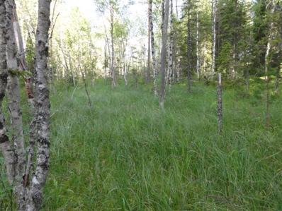 Mindre öppet kärr, 1,5 ha.