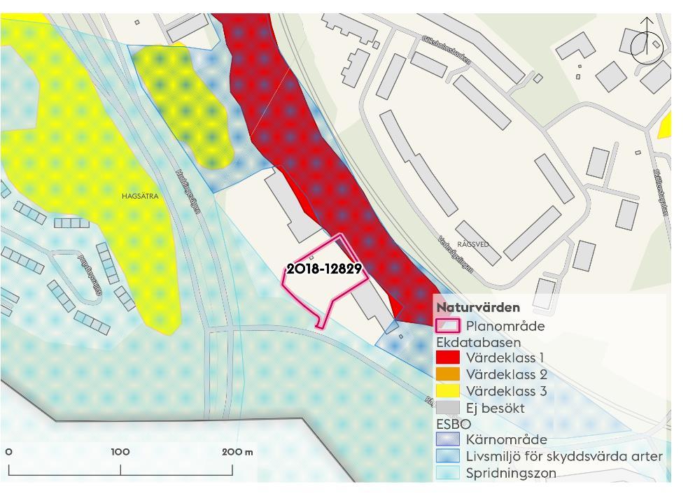 Sida 5 (11) Naturvärden Naturområdet nordöst om planområdet har höga naturvärden (värdeklass 1) och har en central roll som spridningszon och sträcker sig mellan Älvsjö i norr till Rågsveds friområde