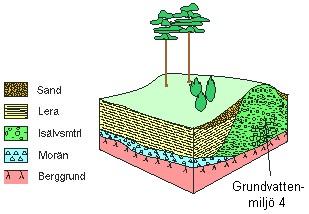 Inom de geografiska regionerna finns olika typer av grundvattenmiljöer.