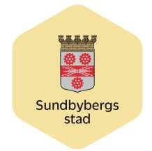 Stadsledningskontoret 2015-12-21 1 (6) Arkivbeskrivning för kommunstyrelsen 1 Enligt 4 kap 2 i offentlighets- och sekretesslagen (OSL 2009:400) och 6 i arkivlagen (1990:782) ska varje myndighet