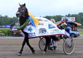 MÅNADEN HÄT Gävletravet augusti 2019 BÄCKLÖ URIEL Vi gratulerar med segertäcke och hederspris Hingst 3 år e. Bork Odin Bäcklös Amalia e.