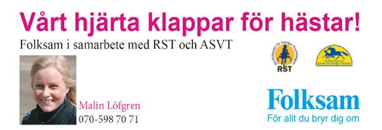 KVALPREMIE KVALTIDER VARMBLOD.,0 - -åriga.,0 - -åriga.,0 - -åriga & äldre.,0 - montékval KVALTIDER KALLBLOD.,0- -åriga.0,0- -åriga.,0 - -åriga & äldre.,0 - montékval OBS!
