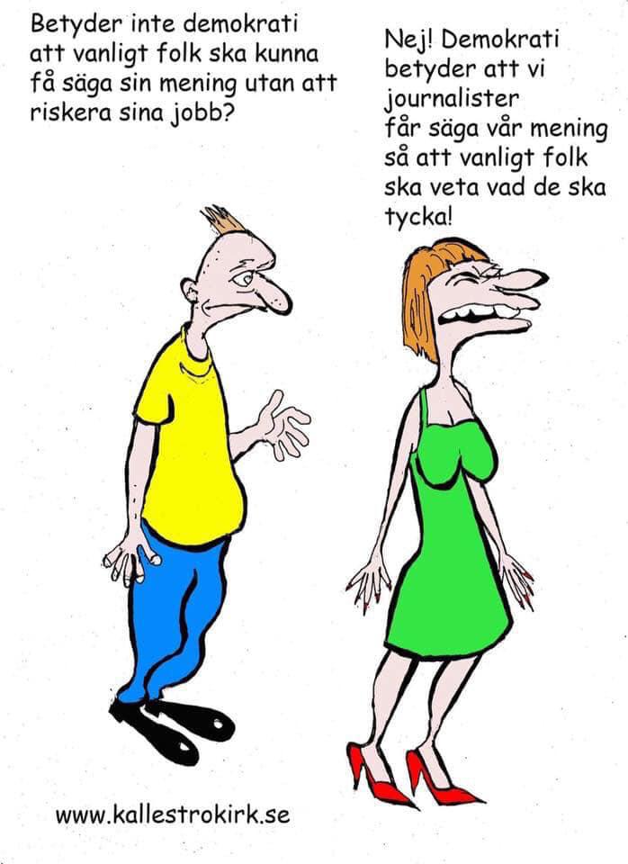 Den nuvarande pressen och det sätt som journalister uppför sig, i synnerhet i SR/SVT, gör mig mycket oroad. http://www.tjust.com/2019/granska/svt-ekdal.