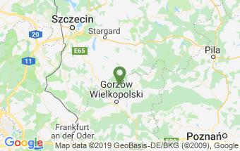 Vi förfogar över ett stort antal av de absolut bästa statsskogsreviren i den västliga delen av Polen där de flesta kan erbjuda drevjakter i toppklass.