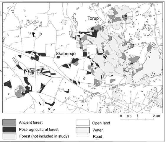 Bevara små skogar med värdefull flora och fauna, oberoende av storlek och isolering Skötseln bör utgå från befintliga naturvärden och kan därför variera mellan landskap och skogsfragment.