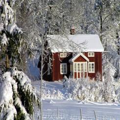 INFORMATION, RÅDGIVNNG OCH HANDLEDNING SOM NÅR UT TILL DE ÄLDRE VI PRODUCERAR TJÄNSTER SOM STÖDJER DE ÄLDRES EGNA RESURSER OCH FUNKTIONS- FÖRMÅGA DE ÄLDRES TJÄNSTER ÄR RÄTT DIMENSIONERADE, RÄTTIDIGA