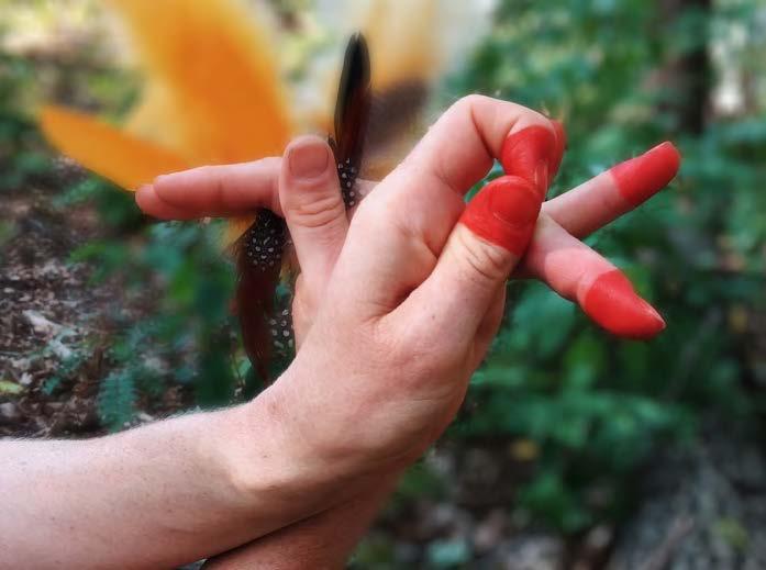 Familjekonsert: Fågeln som flög mot solen Vässa klorna! Putsa fjädrarna! Från 3 år.