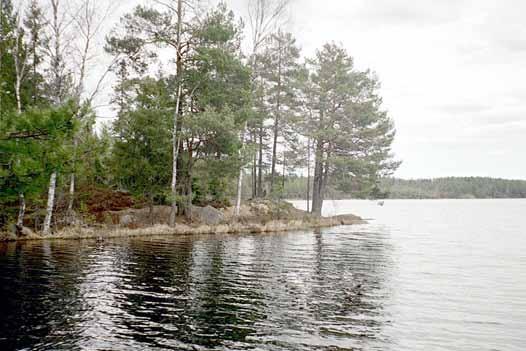 År 2003 Rapport 2001:01 Bottenfauna i Stockholms län 2003 En