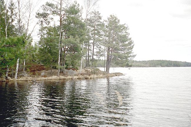1. Akaren, Molstaberg Datum: 2003-04-24 Flodområde: 63 Trosaån Koordinat: 655151/159245 Vid udden nedanför eldstad, ut till ca 1 m djup.