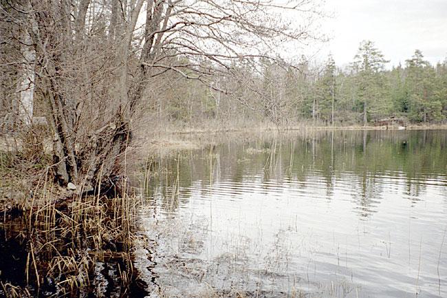 2. Trönsjön, Molstaberg Datum: 2003-04-24 Flodområde: 63 Trosaån Koordinat: 655256/159126 Ca 20-25 m från bryggan, ut till ca 1 m djup.
