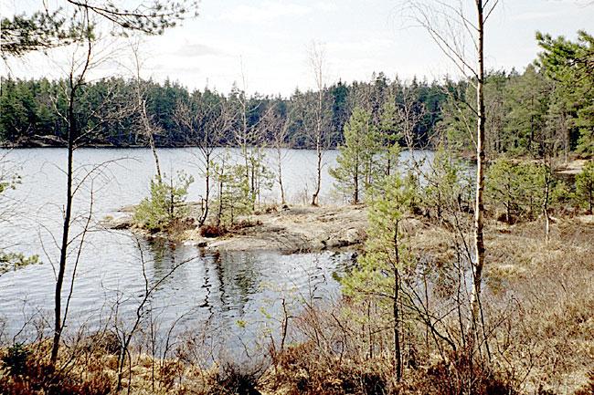 4. Trehörningen, Paradiset Datum: 2003-04-24 Flodområde: Lissmaån Koordinat: 656100/162743 Runt lilla ön, ut till ca 1m djup. Hällar med inslag av spark- och mjukbotten.