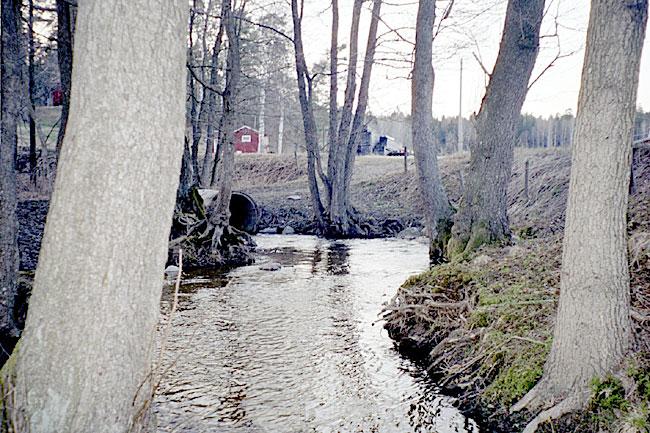 6. Åvaån, Åvagård Datum: 2003-04-23 Flodområde: Åvaån Koordinat: 656360/164475 Från trumman och 10 m nedströms.