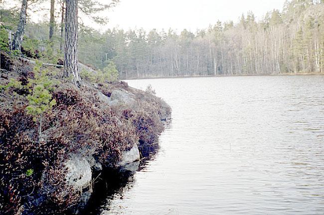 7. Ällmora träsk, Ällmora Datum: 2003-04-23 Flodområde: 61 Mälaren-Norrström / 62 Tyresån Koordinat: 656821/164677 I den lilla viken norr om bäcken, ut till ca 1 m djup.