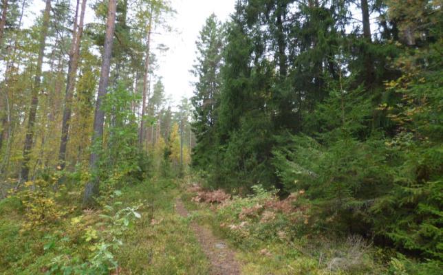 BEHOVSBEDÖMNING 5 (20) Förenlighet med 3,4 och 5 kap Miljöbalken Markanvändningen i planen är förenlig med bestämmelserna om hushållning med mark- och vattenområden enligt miljöbalken 3 och 4 kap.