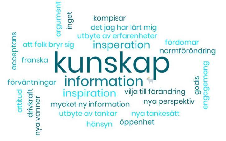 Dialogmöte 2 tema HBTQ och normer Klicka här för att läsa dokumentationen från dialogmöte 2! Dialogmöte 3 tema ungas psykiska hälsa Klicka här för att läsa dokumentationen från dialogmöte 3!