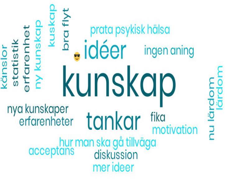 Dialogmöte 2 För dig som inte läser rapporten digitalt finns all dokumentation att hitta på Lekeberg.se under fliken folkhälsa.
