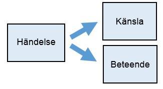 en från att utveckla egna strategier för ångesthantering. Man kan se det som att medicinen lindrar symtomen i stunden men inte ger någon varaktig förbättring.