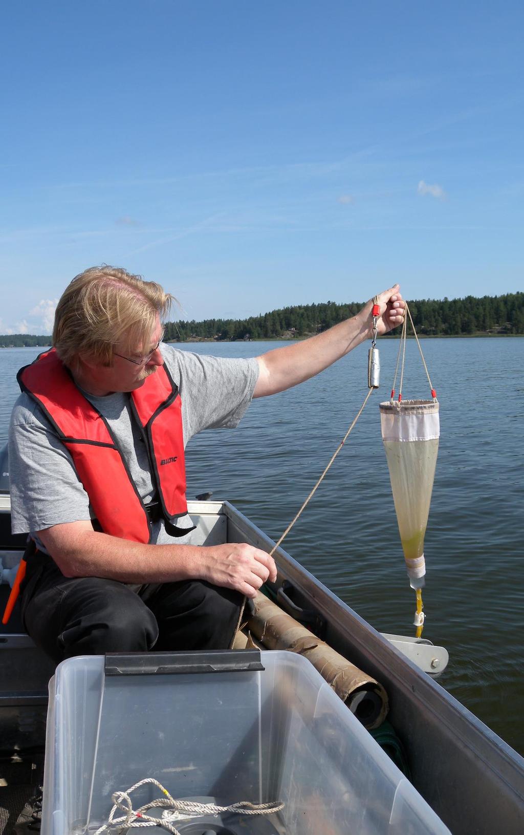 Växtplankton i fyra sjöar i Örebro län
