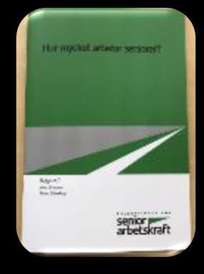 Omvärldsanalys för