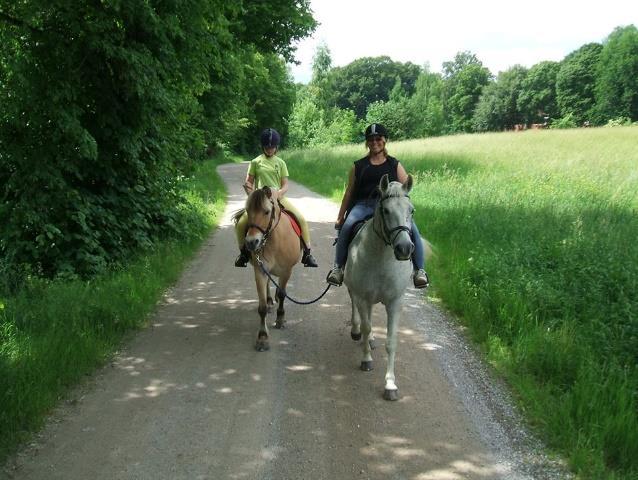 senare fick hon en fjording av mig då hon tyckte om att kasta horse boll och Lippe inte uppskattade den leken, jo det var även det att det var dåligt med säkra alternativ på ridskolan och därav