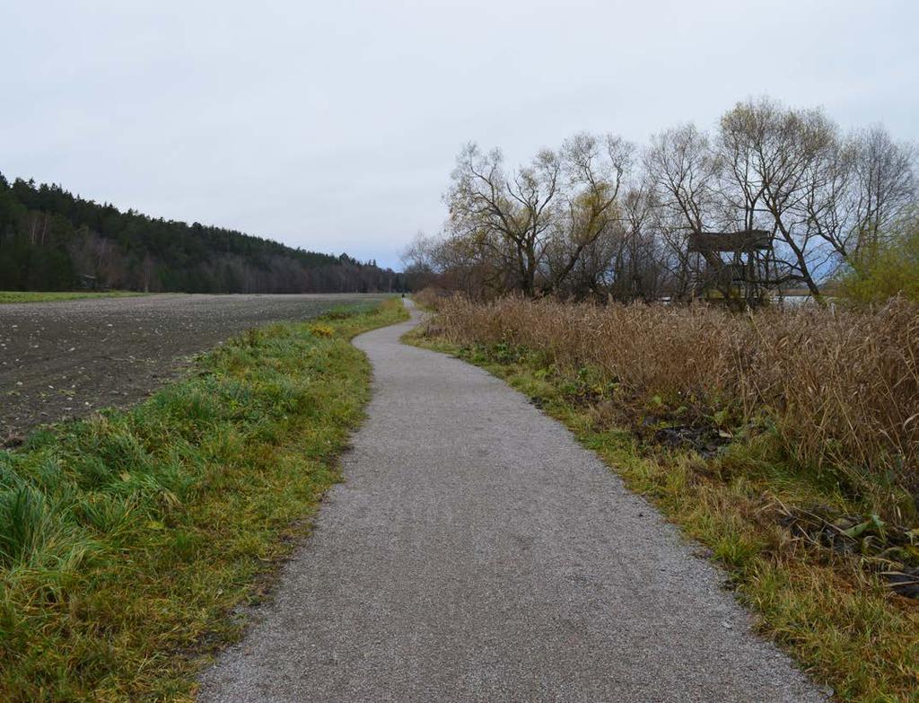 fågelplattformen kan du spana ut över Övre Föret från östra sidan av Fyrisån.