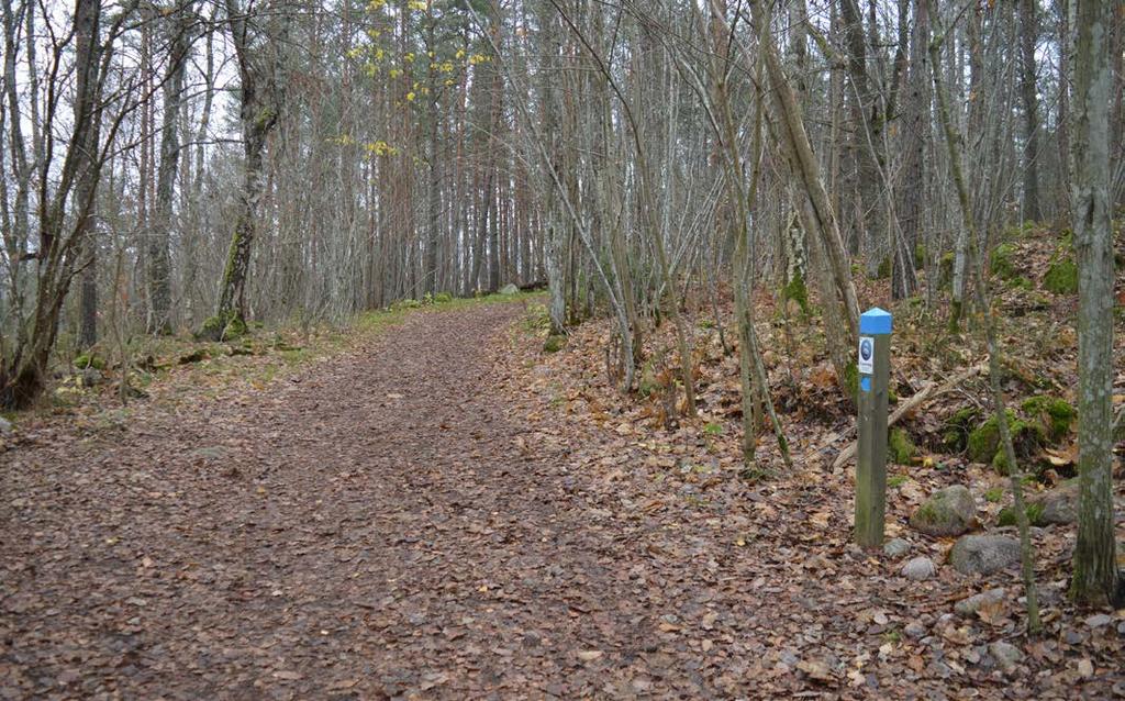 Följ stigen uppför backen. Stigen är också Linnestigen Ultunavandringen och markeras ibland med blå stolpar. Stigen är bred men kan ha stenar och rötter. Backen har kraftig lutning.