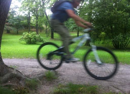 Målgrupper: Mountainbike (MTB) - cykling i skogen, från grusväg till stup Mountainbike (MTB) Kännetecken och behov Cykling i skog Grusväg, stigar, leder Gemensamt Natur