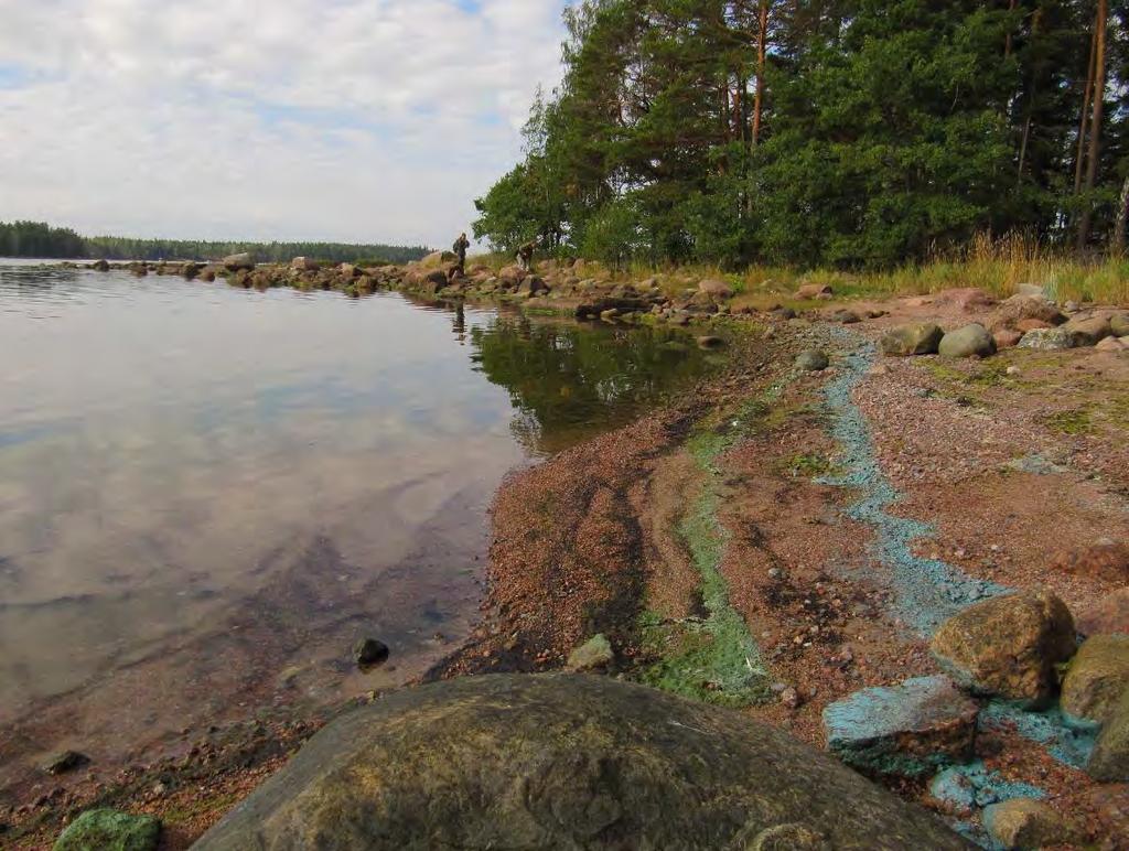 2.2.8 Störande faktorer i miljön I Onasområdet förekommer tidvis riklig blomning av blågröna alger. De stör rekreations användningen och fisket.