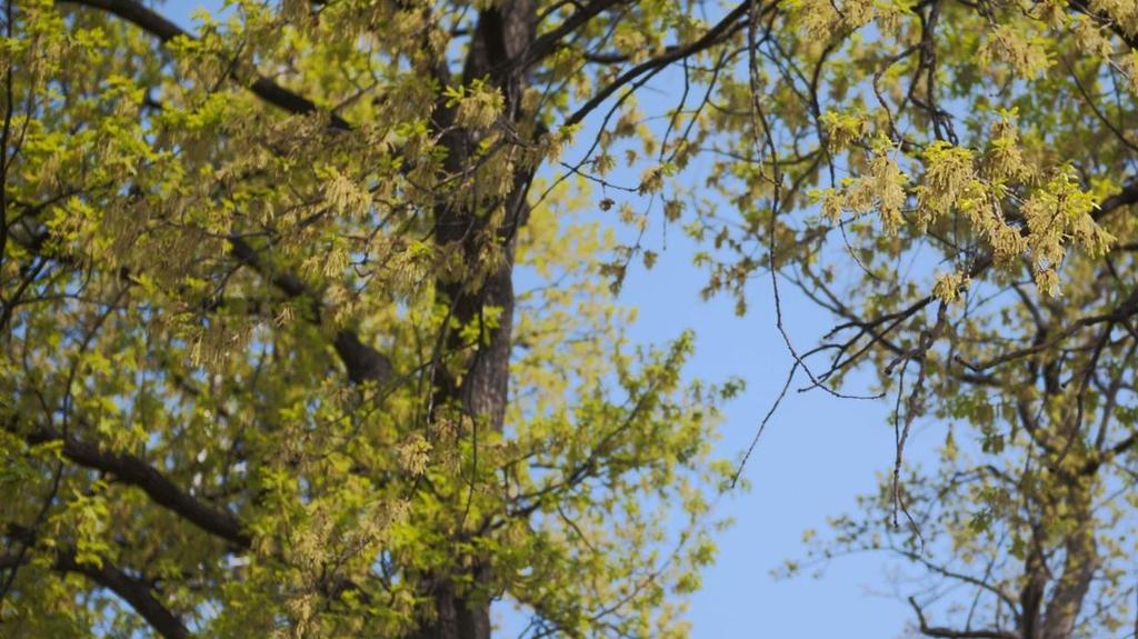 2. NATURE ACTIVITIES WILL STILL BE ATTRACTIVE Mottrend till urbanisering Hälften av svenskarna väljer plats att bo beroende av