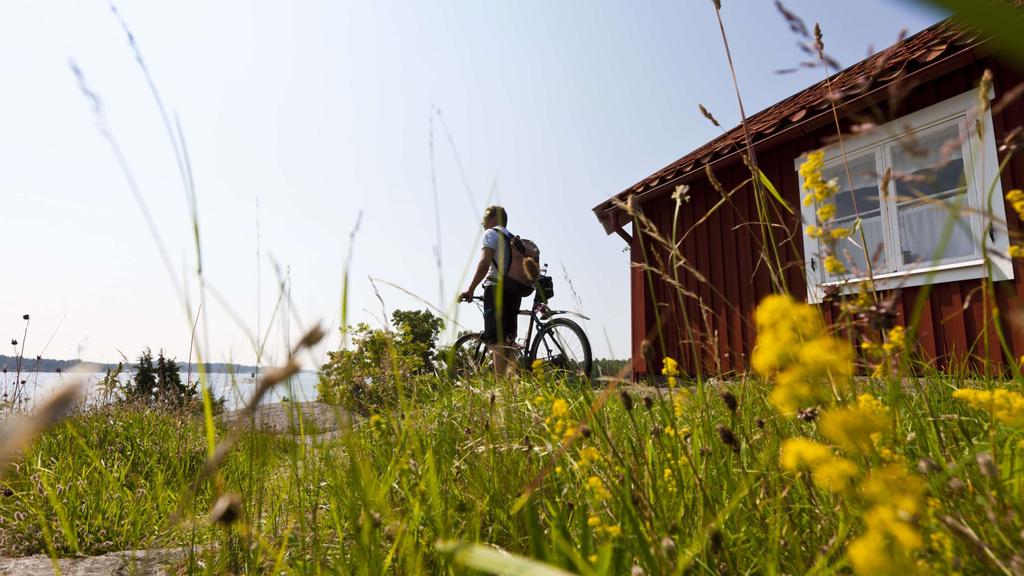 7. NATURE AS AN ARENA FOR RECUPERATION Skog