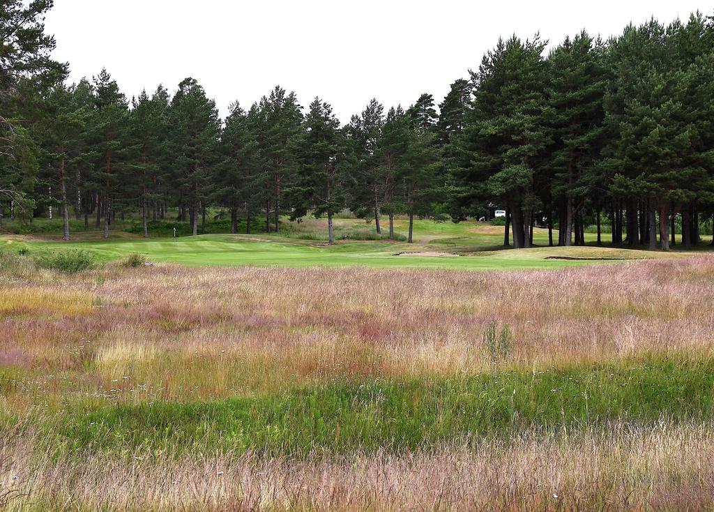 upp från Vänern. Dessutom är ju regnvattnet heltäckande. Så för en banchef och greenkeeper har vädret perioden april-juni varit maximalt bra.