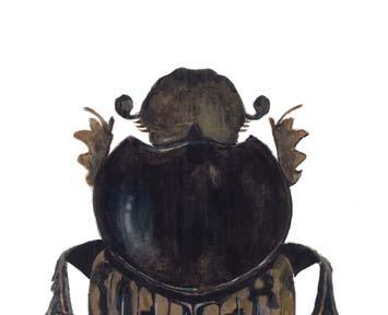 Rakhorndyvel Rakhorndyvel Onthophagus nuchicornis (figur 3) förekom förr upp till Värmland, Västmanland och Uppland men från 1950-talet och framåt verkar arten ha gått starkt tillbaka och hittas