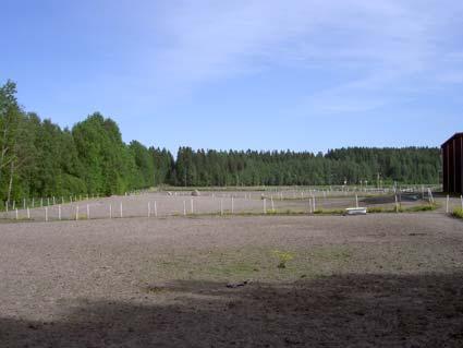 Sju arter påträffades i ganska små eller måttliga antal. Noterbart var förekomst av slät dyngbagge.