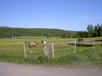 Linnebäck, Ridskolan Stor & Liten (6581104 1418801), kartbilaga 14. Lokalen bestod av sandiga gamla åkrar som vätter mot öster (figur 12). Betesdjuren bestod av mellan fem och tio ponnyhästar.