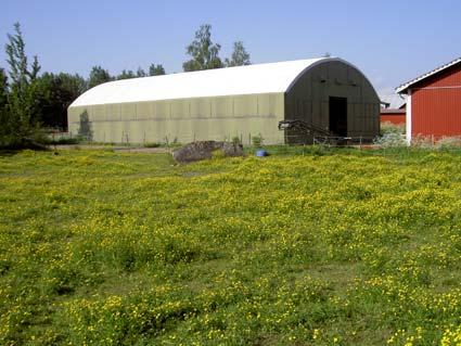 Kumla kommun Folkatorp ridskola (6558438 1461168), kartbilaga 16 Området bestod av vegetationsfattiga kulturbeten i anslutning till en ridskola (figur 13). Lokalen betades av ca tio ponnyhästar.