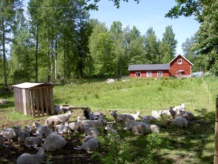 Laxå kommun Grönelid (Får 6513595 1425882, Häst 6513571 1426073), kartbilaga 18 De inventerade delarna ingår i Grönelids Natura 2000-område.
