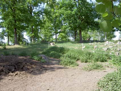 Lekbergs kommun Boshammaren (6562039 1447603), kartbilaga 19 Det inventerade området bestod av en träd- och buskbärande, kuperad naturbetesmark.