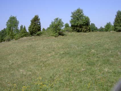 Härvesta (6558219 1449637), kartbilaga 24 Den inventerade delen ingår i Härvesta Natura 2000-område.