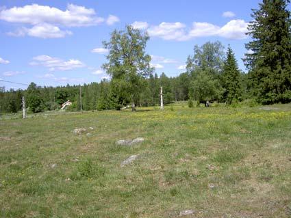 Årispan (6629961 1476475), kartbilaga 28 Lokalen bestod i den norra delen av torr naturbetesmark med fin flora, t.ex. jungfrulin och kattfot.