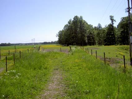 Frösvidal (6580572 1455008), kartbilaga 38 Området bestod dels av kulturbeten i nordost, dels näringsrik, trädbärande naturbetesmark i anslutning till Frösvidalsån (figur 26).