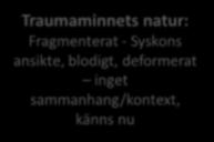 Vad vidmakthåller ihållande PTSD Negativa tolkningar och betydelser om traumat och dess konsekvenser och följder Att traumat hände Om vad som händer under